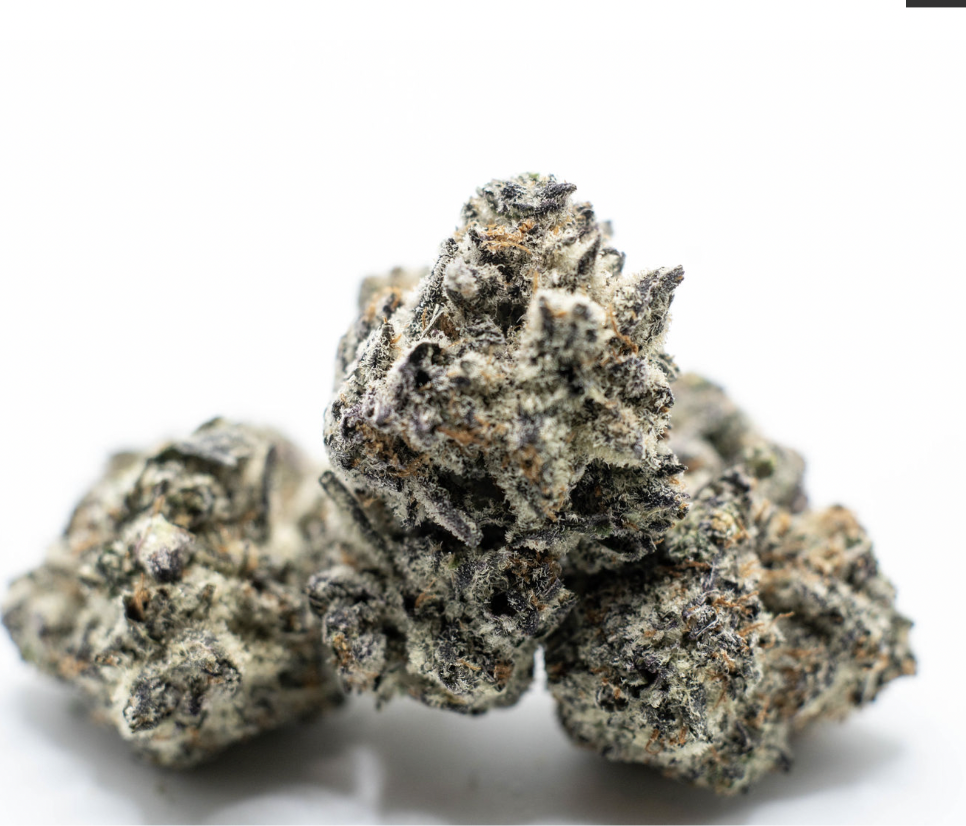 Blueberry muffins